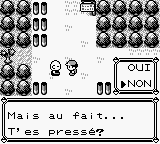 Pokemon saison 12 rencontre au sommet