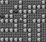 Pok&eacute;mon Vert Feuille & Rouge Feu