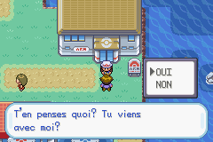 Pok&eacute;mon Vert Feuille & Rouge Feu