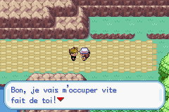 Pok&eacute;mon Vert Feuille & Rouge Feu