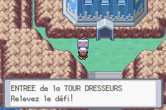 Pok&eacute;mon Vert Feuille & Rouge Feu