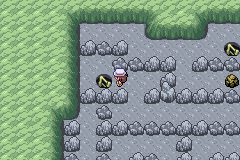 Pok&eacute;mon Vert Feuille & Rouge Feu