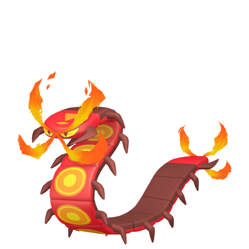 N°0851 - Scolocendre