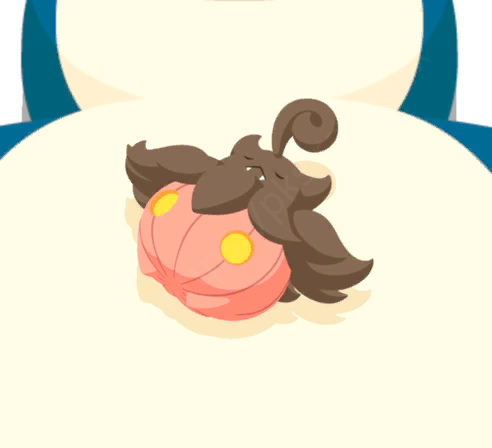 Pitrouille (Variété Moyenne)