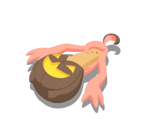 Banshitrouye (Variété Grande) 3★