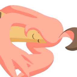 Banshitrouye (Variété Petite)