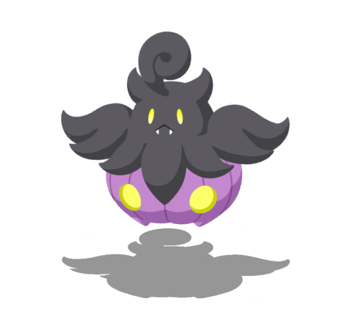 Pitrouille (Variété Petite)