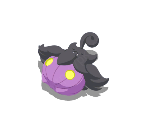 Pitrouille (Variété Grande) 3★