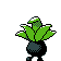 Mystherbe Oddish ナゾノクサ