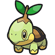 Tortipouss - Turtwig