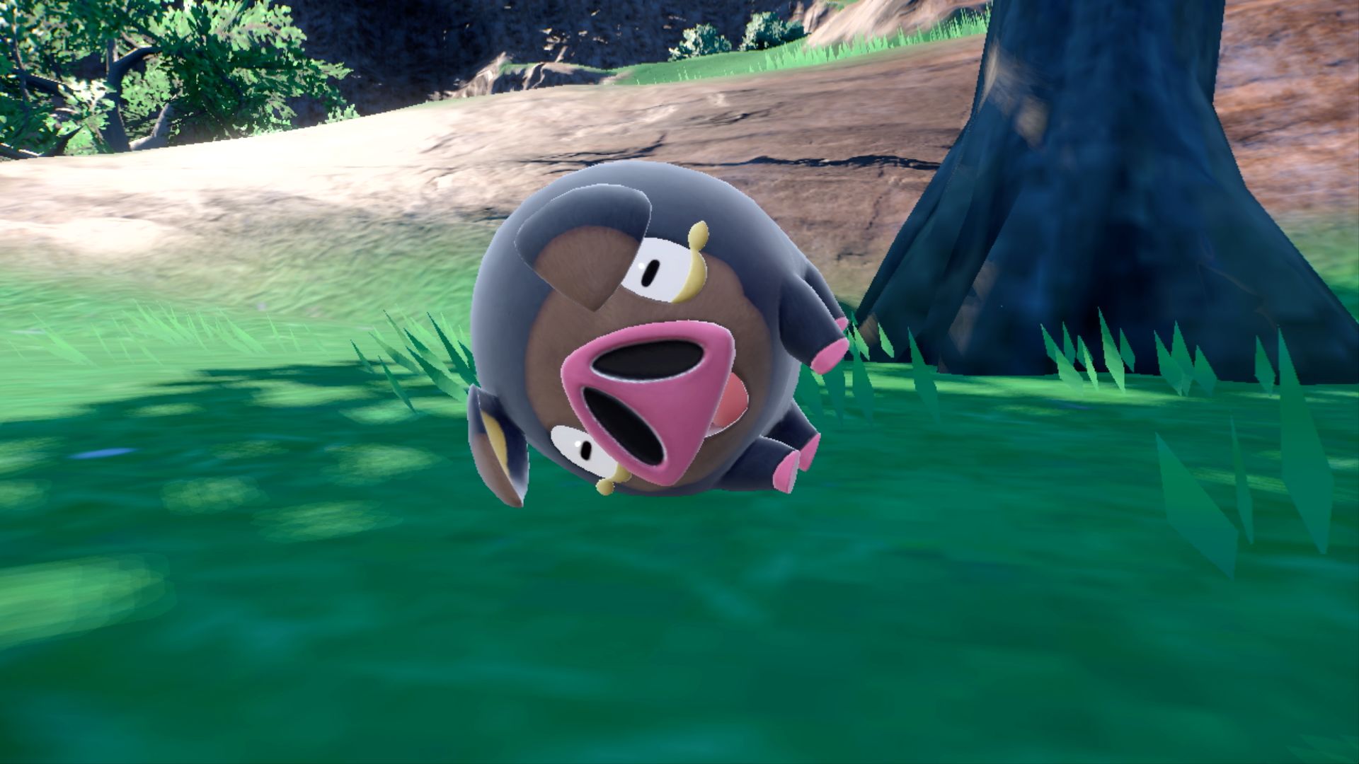 -