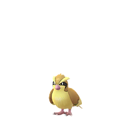 Pok&eacute;mon GO - Roucool