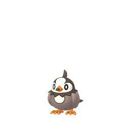Pokémon GO - Étourmi