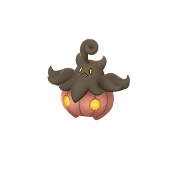 Pokémon GO - Pitrouille