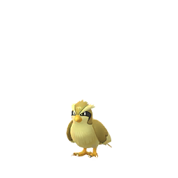Pok&eacute;mon GO - Roucool