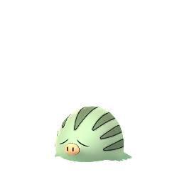 Pokémon GO - Marcacrin