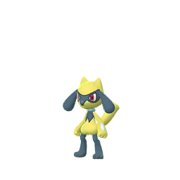 Pok&eacute;mon GO - Riolu