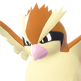 Roucool | Pidgey | ポッポ