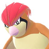 Roucoups | Pidgeotto | ピジョン
