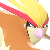 Roucarnage | Pidgeot | ピジョット