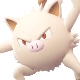 Férosinge | Mankey | マンキー