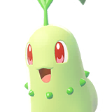 Germignon | Chikorita | チコリータ