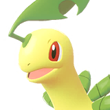 Macronium | Bayleef | ベイリーフ