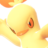 Galifeu | Combusken | ワカシャモ