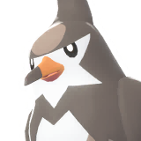 Étourvol | Staravia | ムクバード