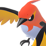 Braisillon | Fletchinder | ヒノヤコマ