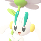 Floette | Floette | フラエッテ