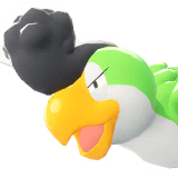 Tapatoès | Squawkabilly | イキリンコ