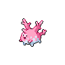 Corayon Corsola サニーゴ
