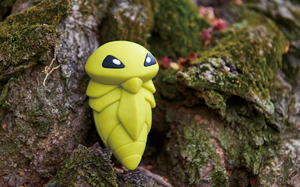 Pokémon Pocket - Booster de Luxe ex - Coconfort