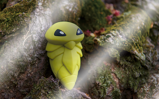 Pokémon Pocket - Booster de Luxe ex - Coconfort