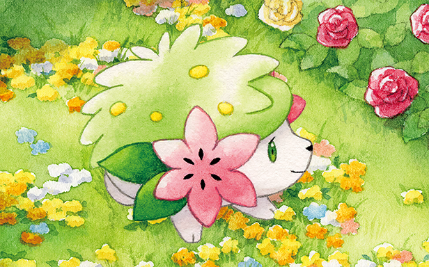 Pokémon Pocket - Booster de Luxe ex - Shaymin
