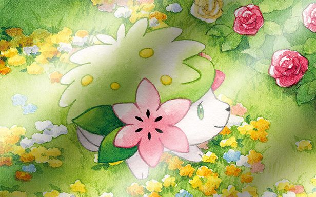 Pokémon Pocket - Booster de Luxe ex - Shaymin