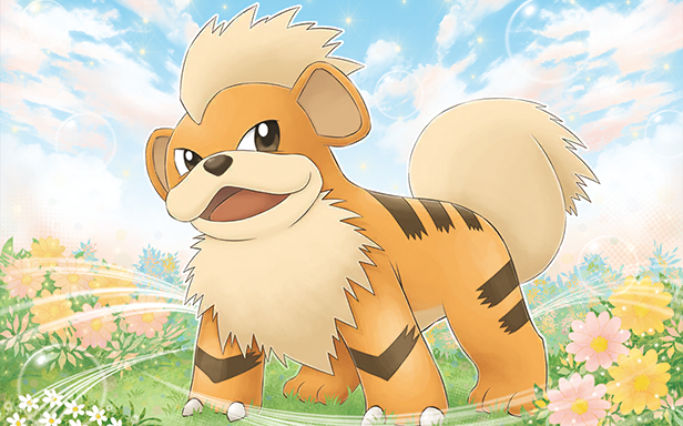 Pokémon Pocket - Booster de Luxe ex - Caninos
