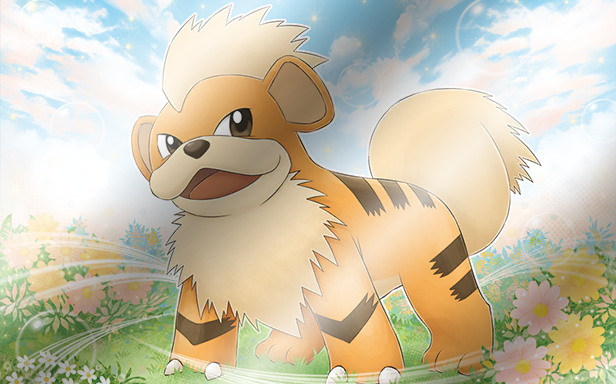 Pokémon Pocket - Booster de Luxe ex - Caninos