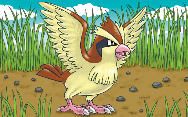 Pokémon Pocket - Booster de Luxe ex - Roucool