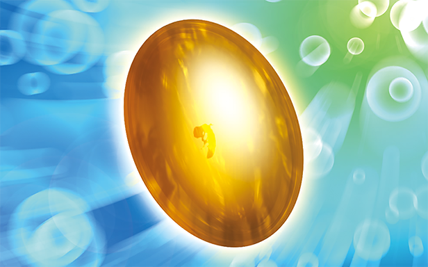 Pokémon Pocket - Booster de Luxe ex - Vieil Ambre