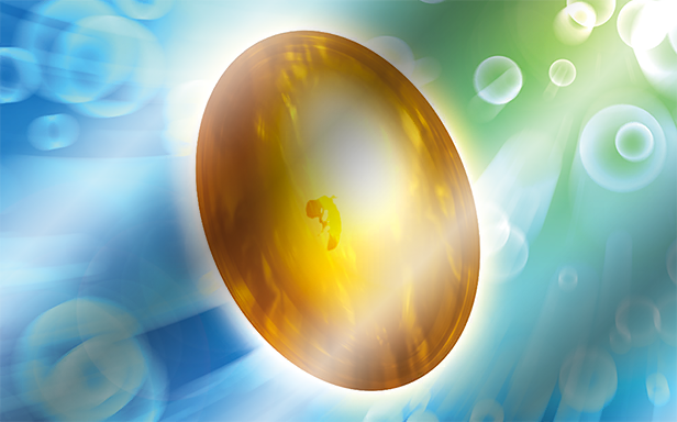 Pokémon Pocket - Booster de Luxe ex - Vieil Ambre