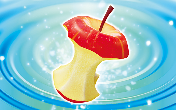 Pokémon Pocket - La Clairière d'Évoli - Restes