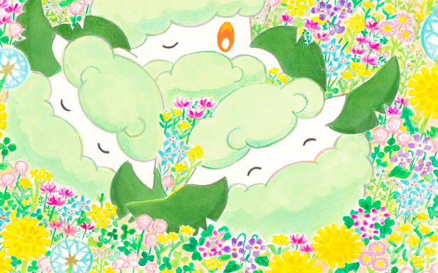 Pokémon Pocket - Méga-Ascension - Doudouvet