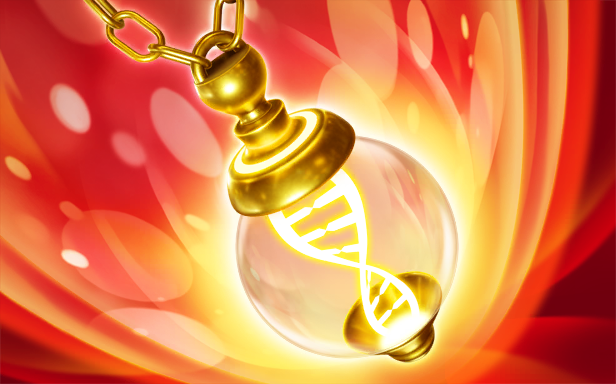 Pokémon Pocket - Source Secrète - Lumière Mémoire