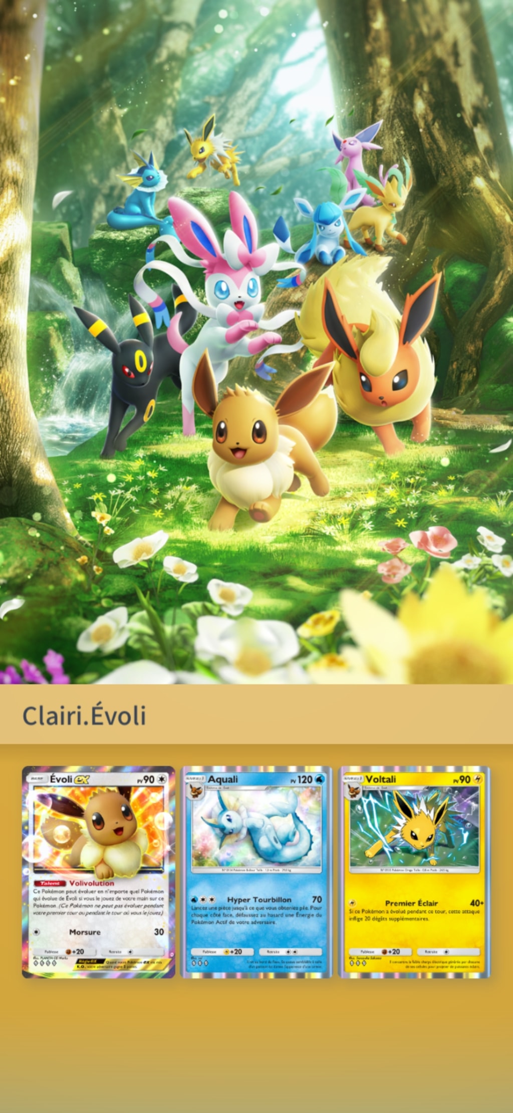 pokémon pocket