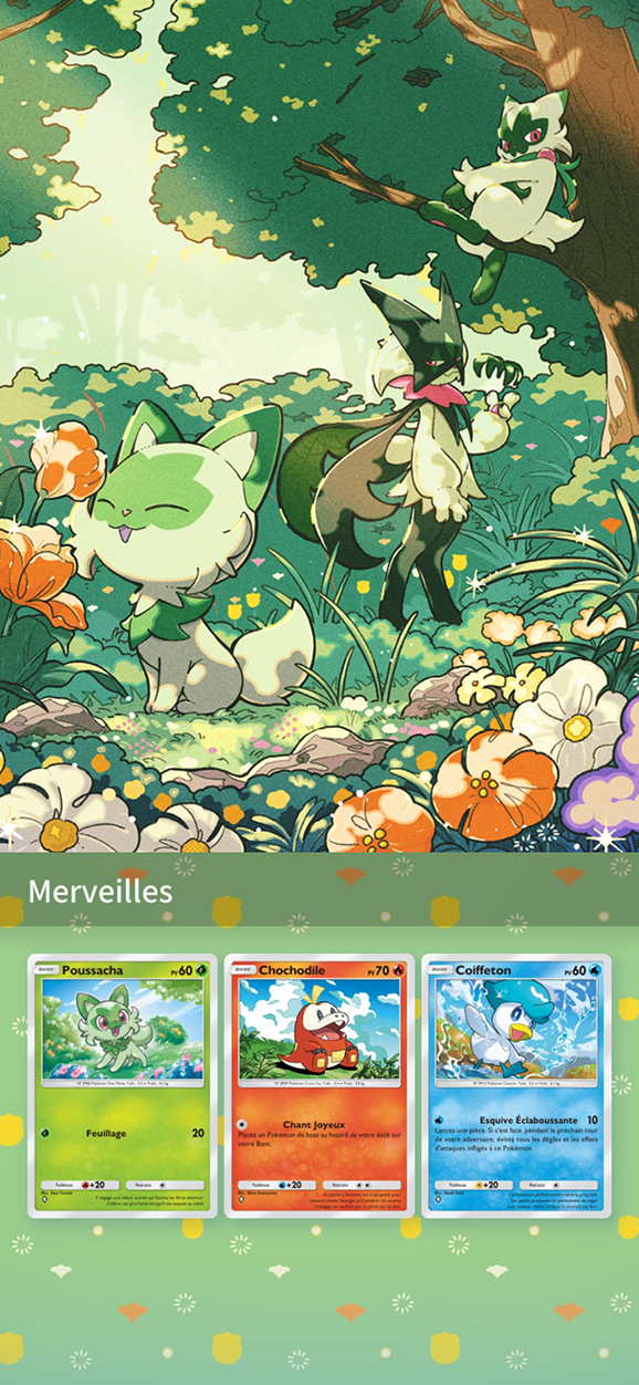 pok&eacute;mon pocket