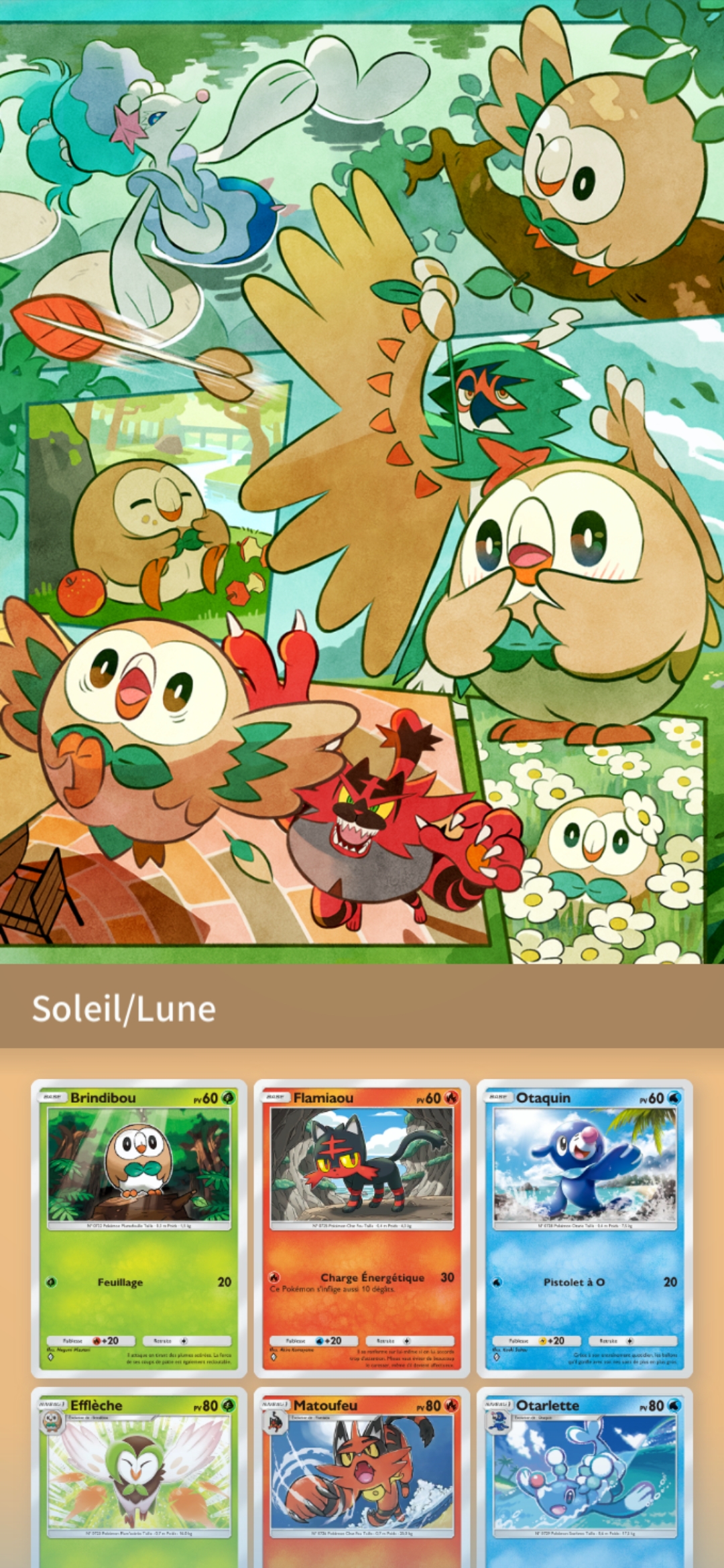 pokémon pocket