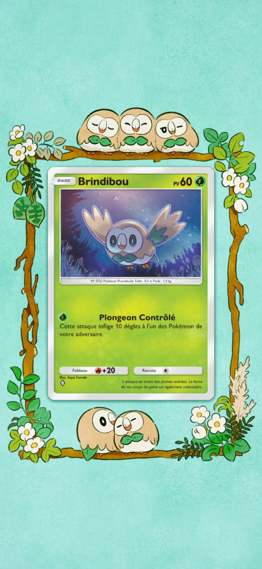pokémon pocket