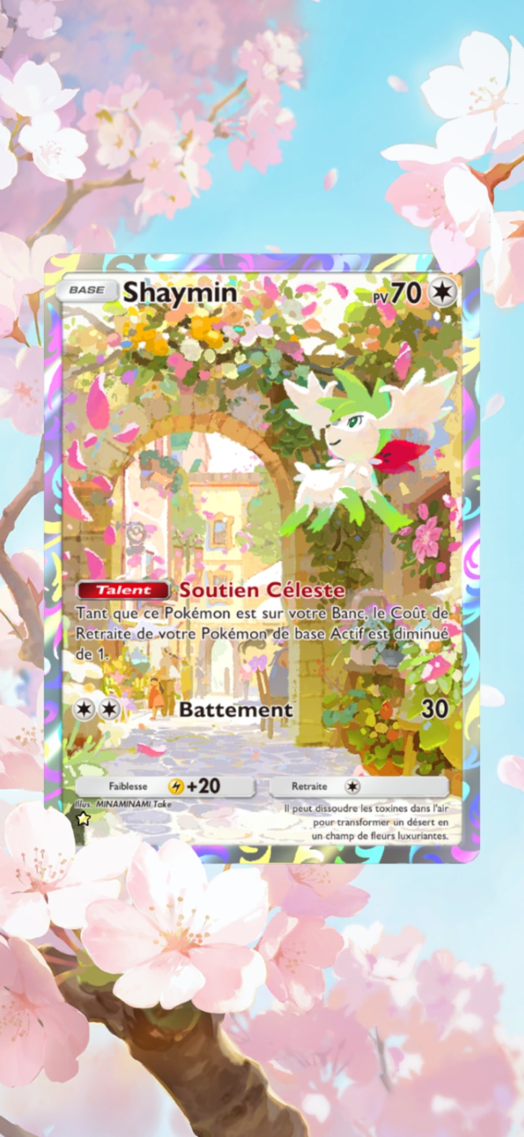 pokémon pocket